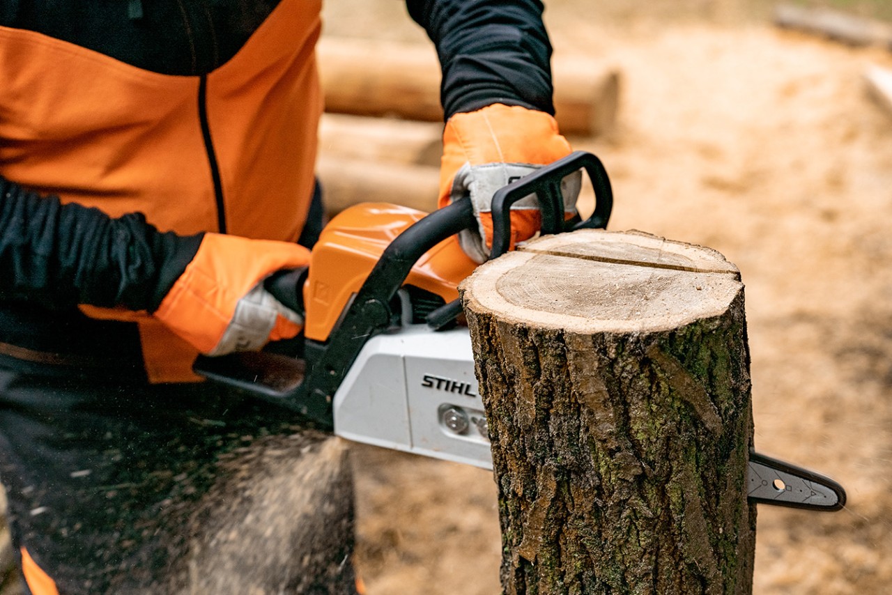 С бензинов верижен трион STIHL MS 170 се отстранява едната страна на стъблото