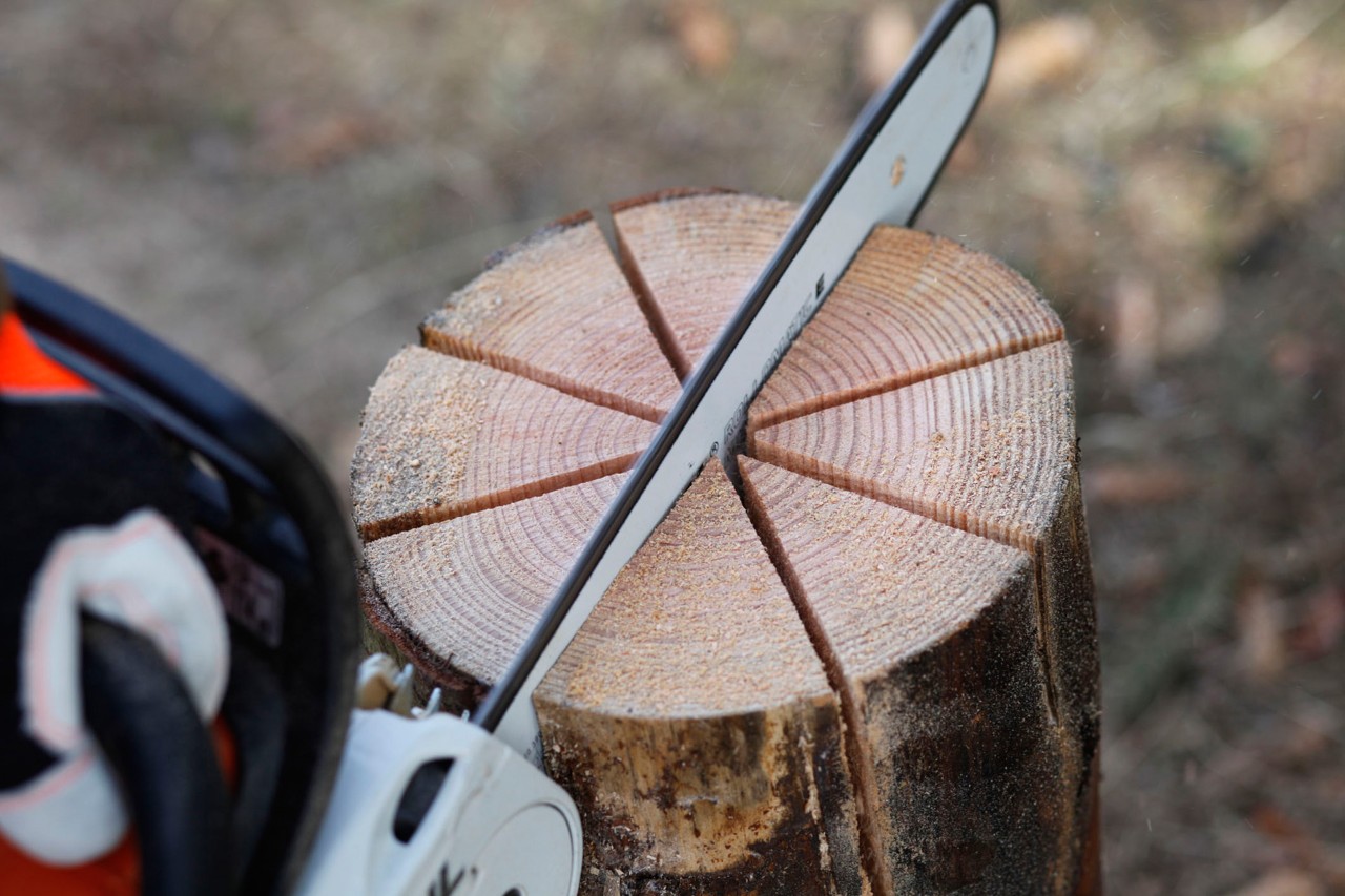 Дървото се отрязва звездообразно с бензинов верижен трион STIHL MS 181 C