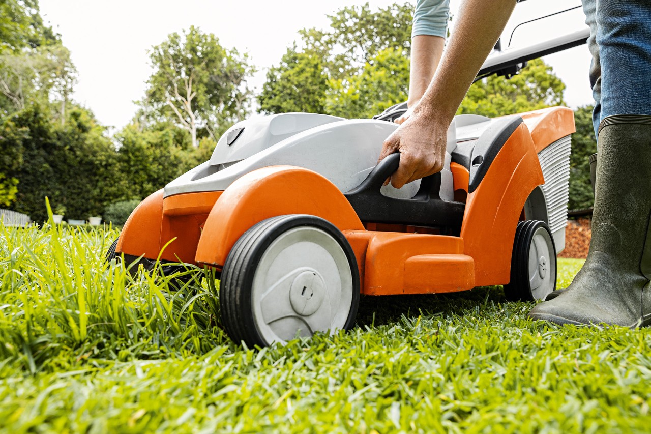 Проверка на акумулаторна косачка STIHL RMA 339 C в градината през пролетта