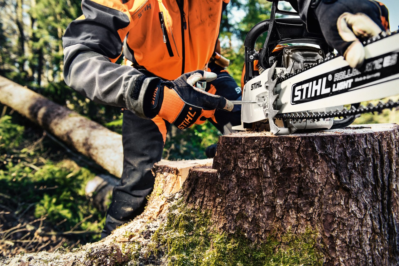 Бензинов верижен трион STIHL MS 461 върху дънер, зад него човек в предпазно облекло