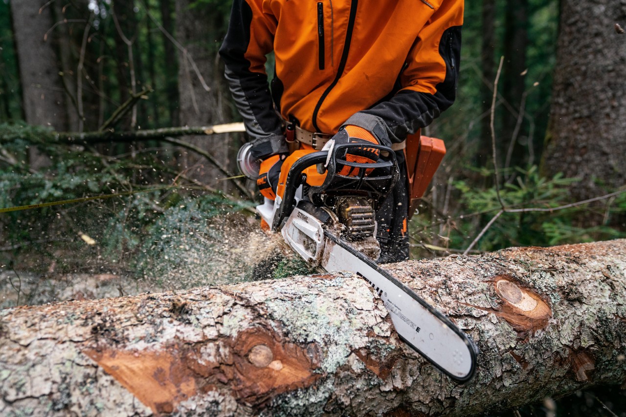 С бензинов верижен трион STIHL MS 400 C-M с магнезиево бутало се реже повален дървесен ствол на земята