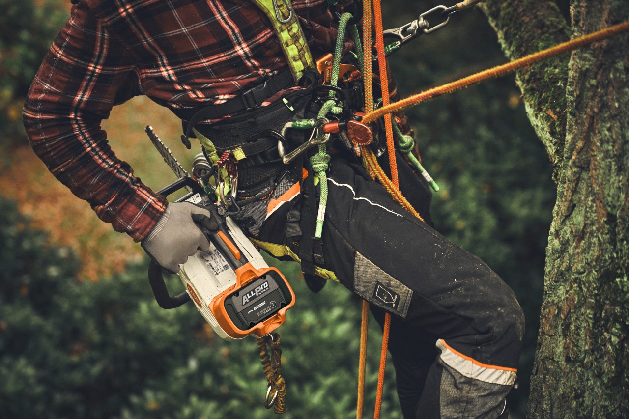 Едър план на човек, катерещ се по дърво с акумулаторния трион STIHL MSA 190 T.