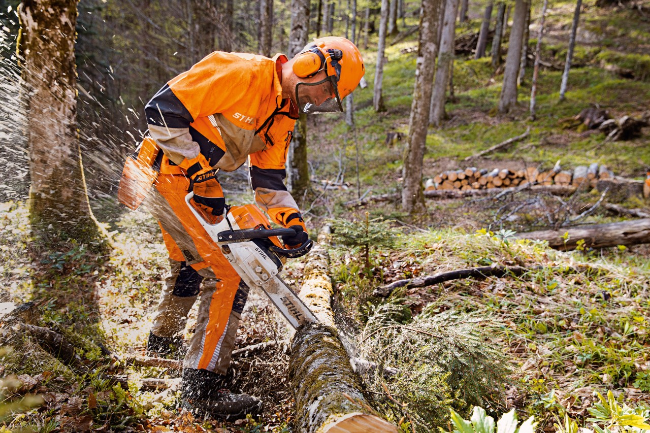 Горски работници в предпазно облекло STIHL заедно с панталон Dynamic Vent (клас на защита срещу срязване 1) реже дървото в гората с моторен трион STIHL