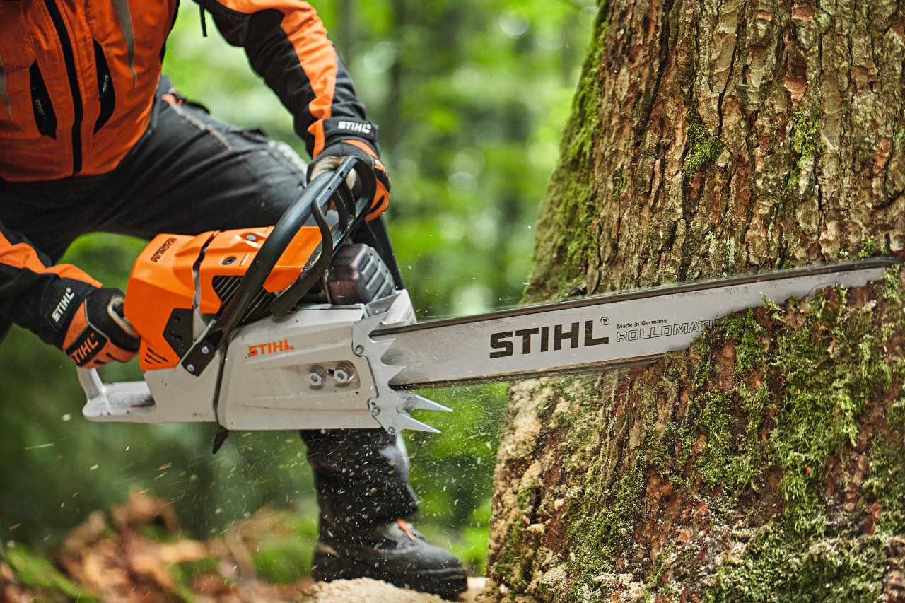 Човек реже дърво с бензинов верижен трион STIHL MS 881, окомплектован с шина с глава