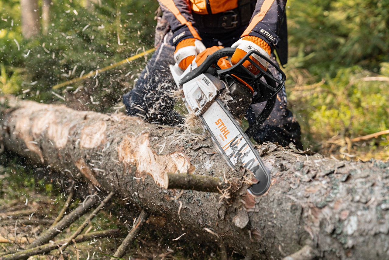 Сваля се кората на ствол с бензинов верижен трион STIHL MS 261 C-M с 2-Mix двигател и водеща шина Light 04 в гората