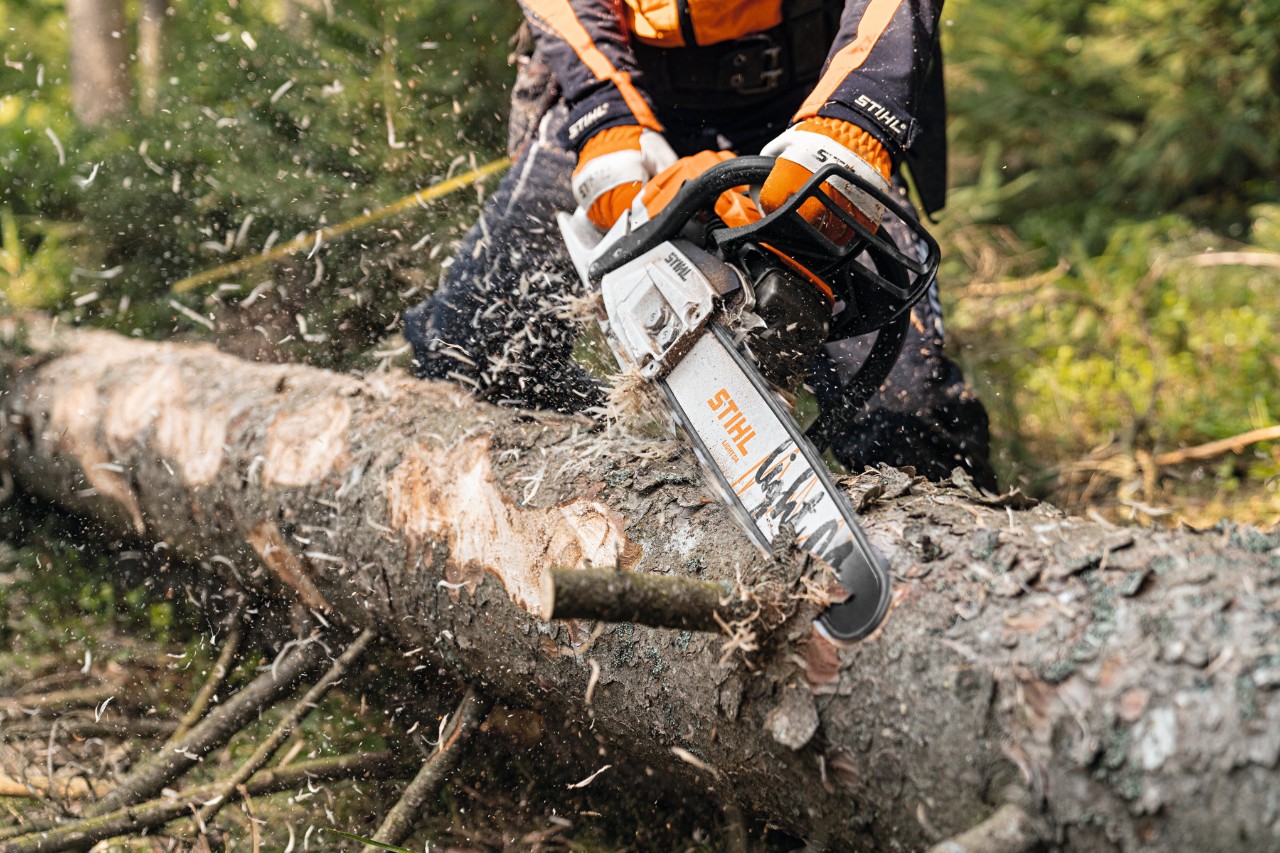 Сваляне в гората на дървесната кора на ствол с бензинов верижен трион STIHL MS 261 C-M с 2-Mix двигател и водеща шина Light 04 