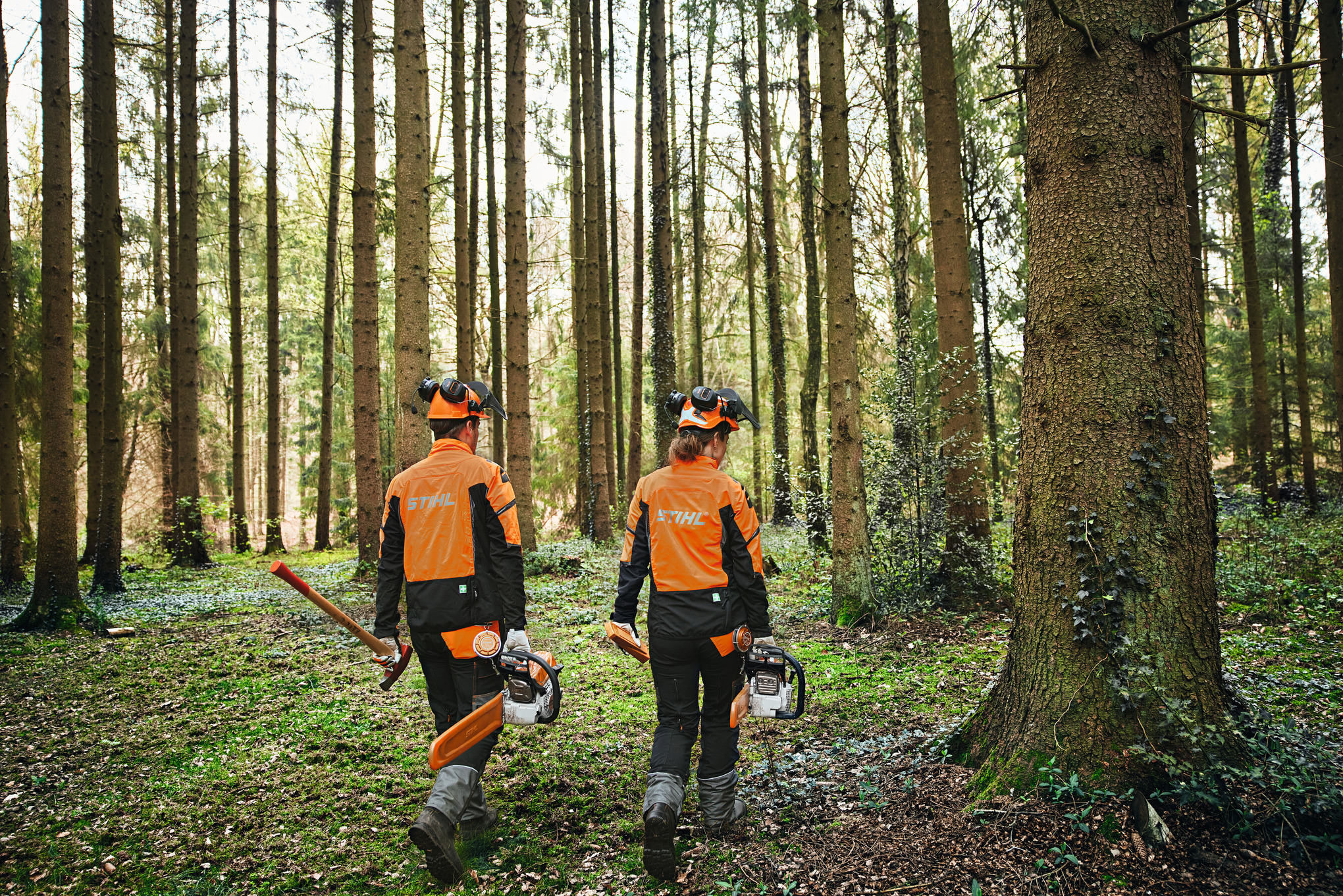 Мъж извършва кастрене с акумулаторен моторен трион STIHL MSA 190 T